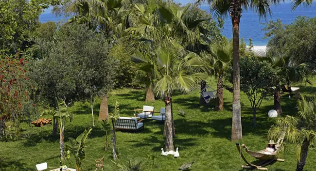 Olympos Lodge
