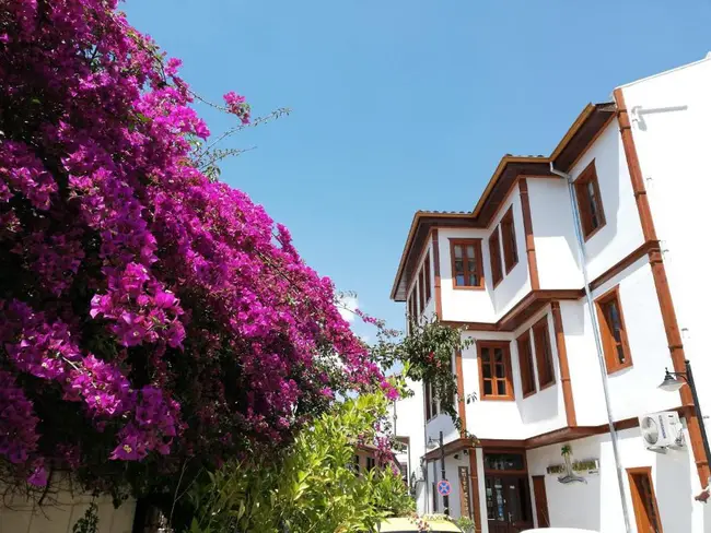 White Garden Hotel